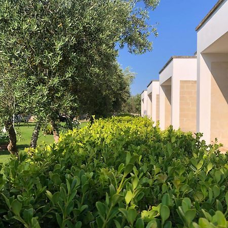Otus Camere Otranto Luaran gambar
